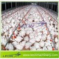 LEON 2017 Hot Sale Totalmente Automático Equipamentos de criação de frango aviário para galinheiro